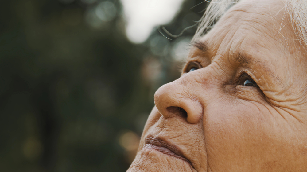 Elder sexual abuse statistics, highlighting prevalence rates and underreporting, and the role of a lawyer or attorney in seeking justice for victims in nursing homes.